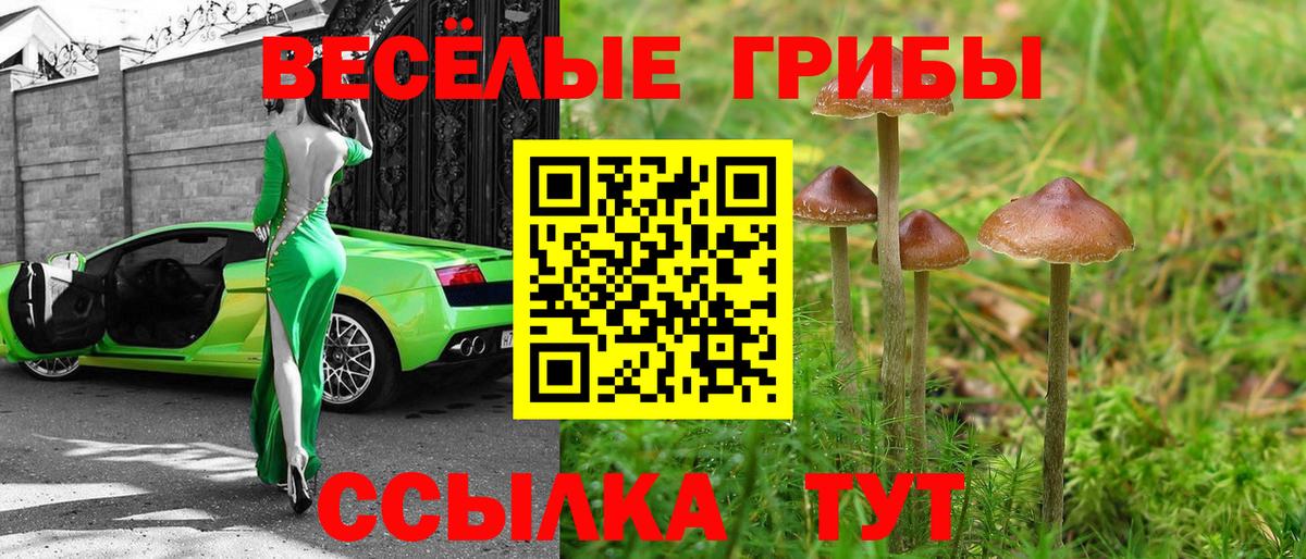 Галлюциногенные грибы GOLDEN TEACHER Нерюнгри